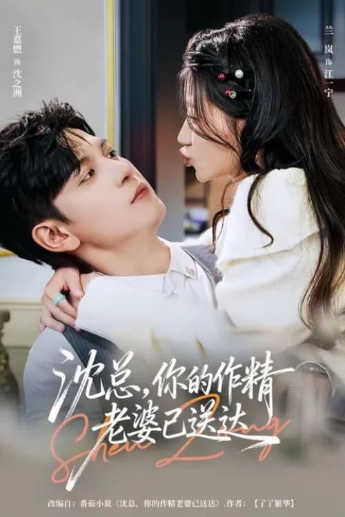 沈总,你的作精老婆已送达